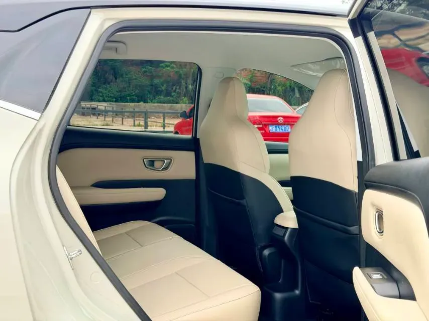 2024 WuLing BinGuoPLUS BEV 37.9KWH,autocango,china used car exporter,china ev exporter,chinese used car exporter,chinese used ev exporter