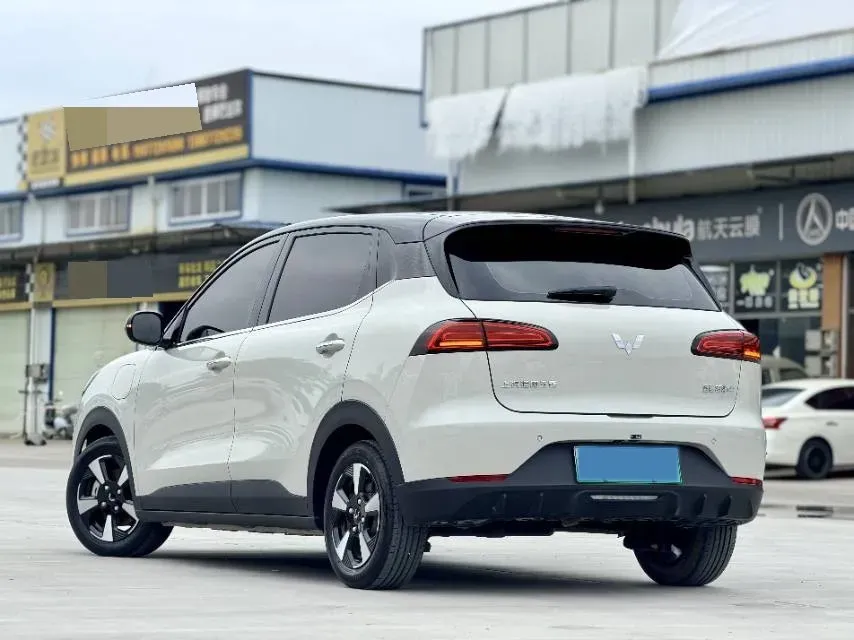 2024 WuLing BinGuoPLUS BEV 37.9KWH,autocango,china used car exporter,china ev exporter,chinese used car exporter,chinese used ev exporter