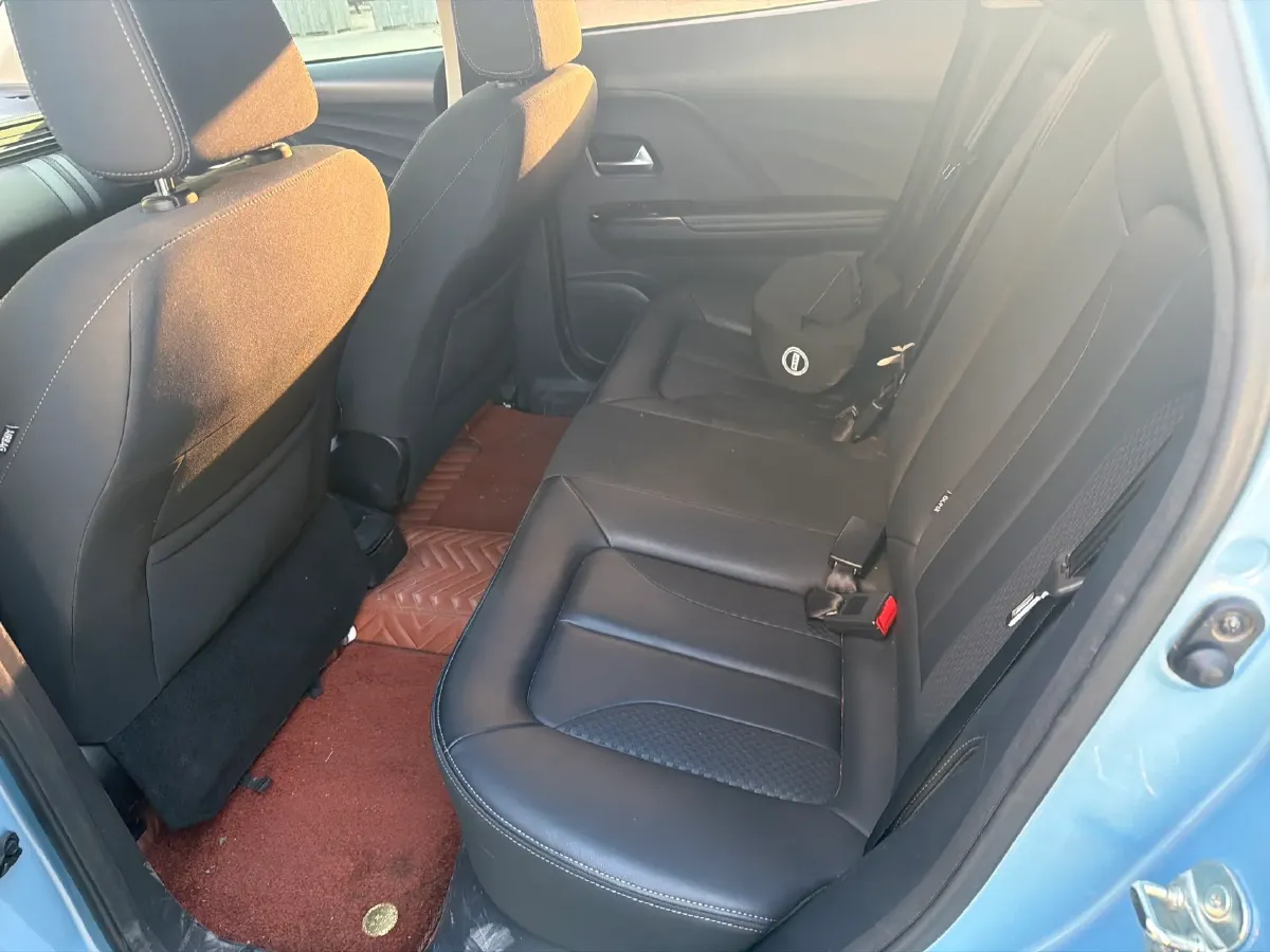 2018 Ora iQ BEV 46.57KWH,autocango,china used car exporter,china ev exporter,chinese used car exporter,chinese used ev exporter