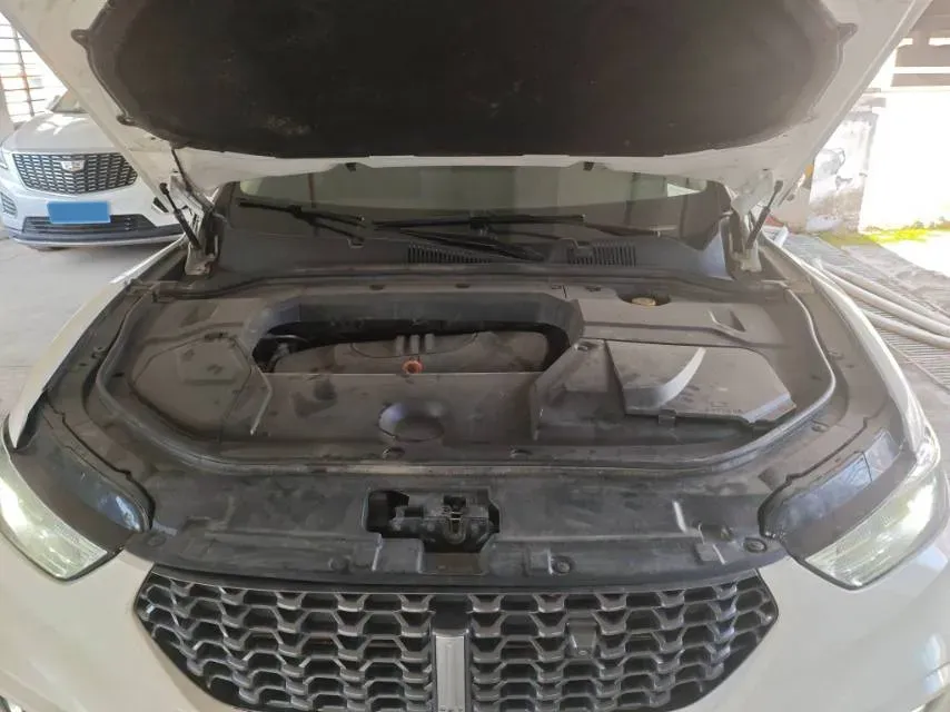 2019 WEY VV5 1.5T 169HP L4 7DCT,autocango,china used car exporter,china ev exporter,chinese used car exporter,chinese used ev exporter