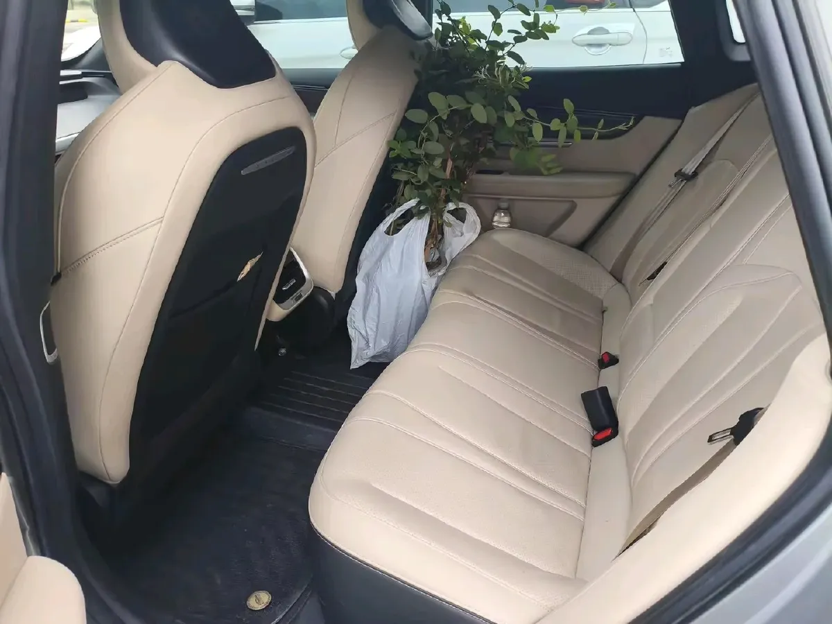 2021 Xpeng P7 BEV 60.2KWH,autocango,china used car exporter,china ev exporter,chinese used car exporter,chinese used ev exporter