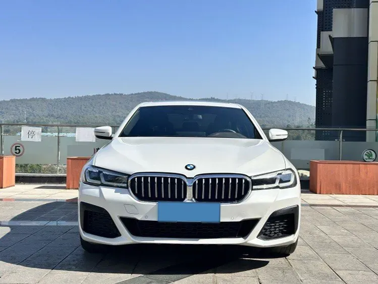 2021 BMW 5 Series 2.0T 252HP L4 8AT,autocango,china used car exporter,china ev exporter,chinese used car exporter,chinese used ev exporter