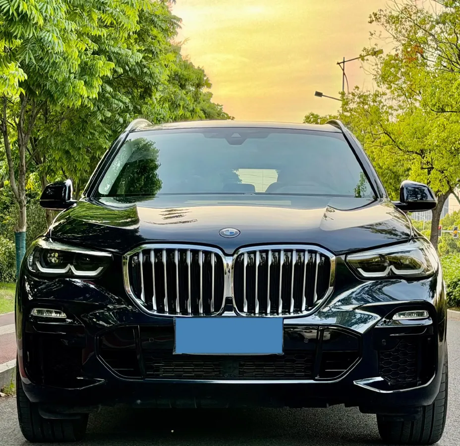 2019 BMW X5 2.0T 265HP L4 8AT,autocango,china used car exporter,china ev exporter,chinese used car exporter,chinese used ev exporter