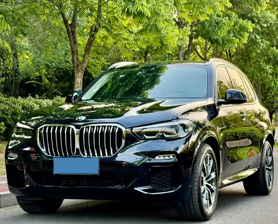 2019 BMW X5 2.0T 265HP L4 8AT,autocango,china used car exporter,china ev exporter,chinese used car exporter,chinese used ev exporter