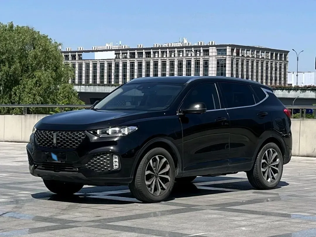 2020 WEY VV6 2.0T 227HP L4 7DCT,autocango,china used car exporter,china ev exporter,chinese used car exporter,chinese used ev exporter