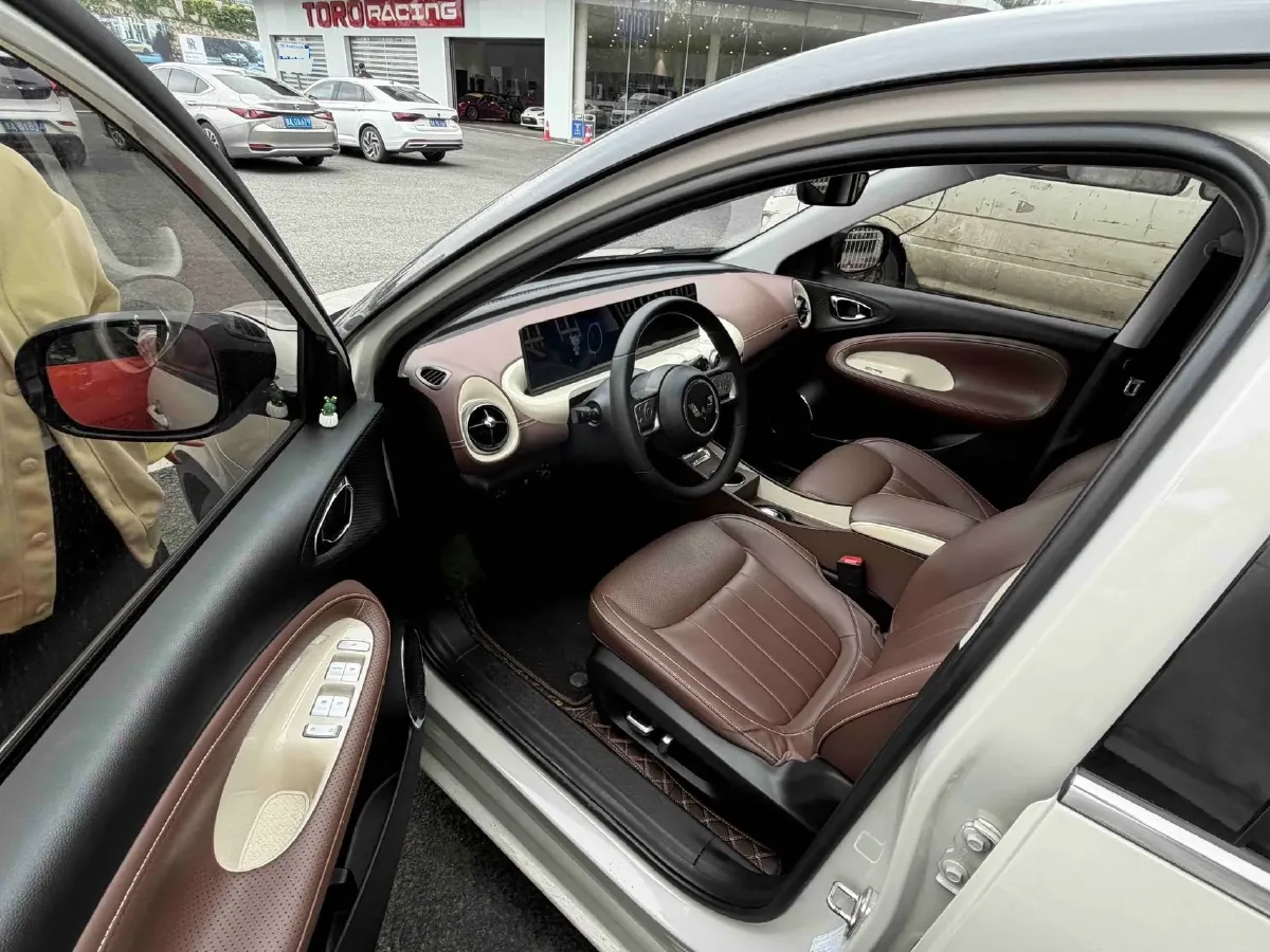 2024 WuLing BinGuo BEV 31.9KWH,autocango,china used car exporter,china ev exporter,chinese used car exporter,chinese used ev exporter