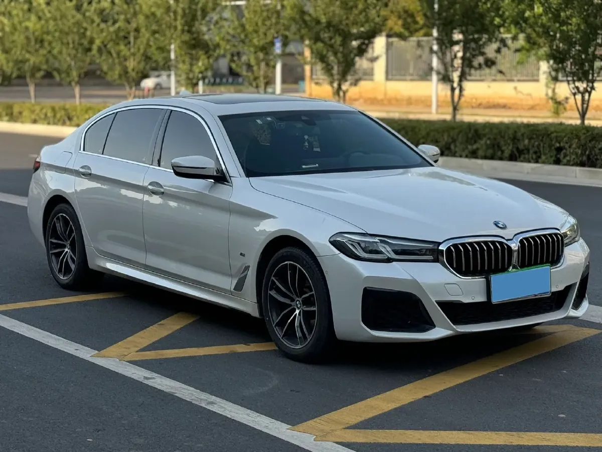 2022 BMW 5 Series 2.0T 184HP L4 8AT,autocango,china used car exporter,china ev exporter,chinese used car exporter,chinese used ev exporter
