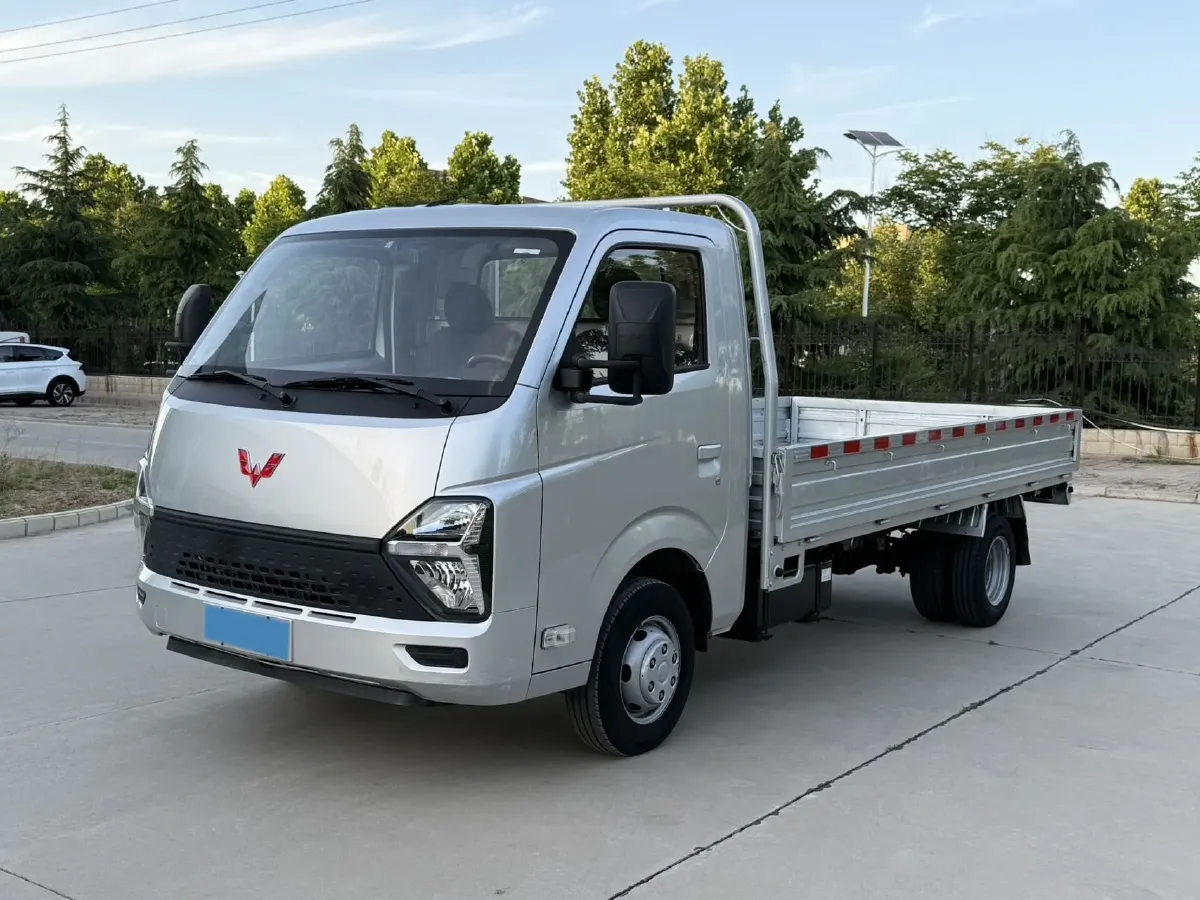 2023 WuLing Loong Truck 2.0L 136HP L4 5MT,autocango,china used car exporter,china ev exporter,chinese used car exporter,chinese used ev exporter