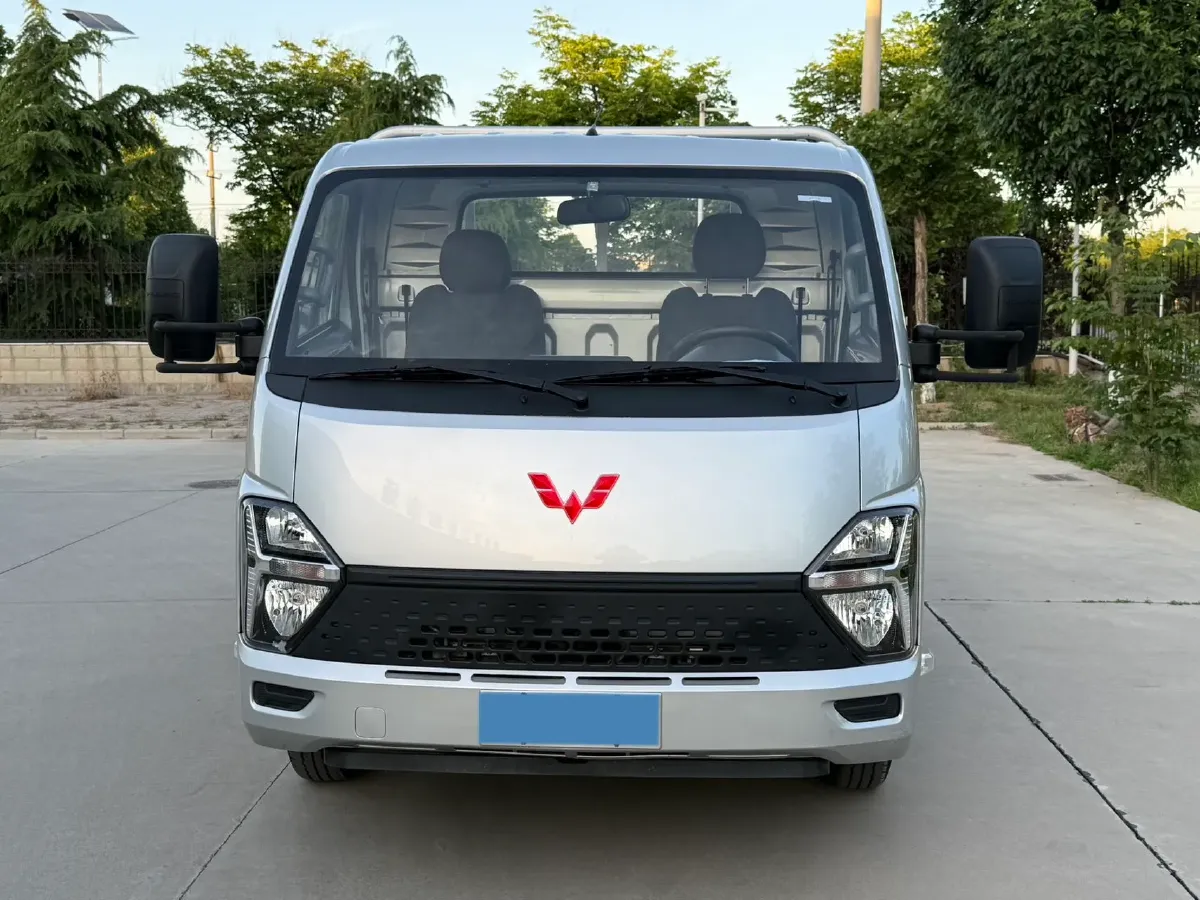 2023 WuLing Loong Truck 2.0L 136HP L4 5MT,autocango,china used car exporter,china ev exporter,chinese used car exporter,chinese used ev exporter