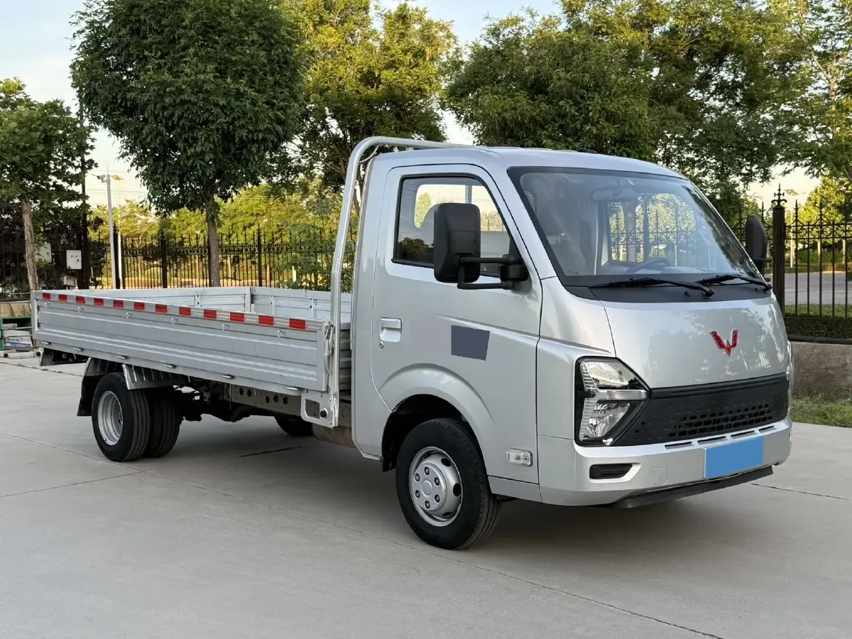 2023 WuLing Loong Truck 2.0L 136HP L4 5MT,autocango,china used car exporter,china ev exporter,chinese used car exporter,chinese used ev exporter