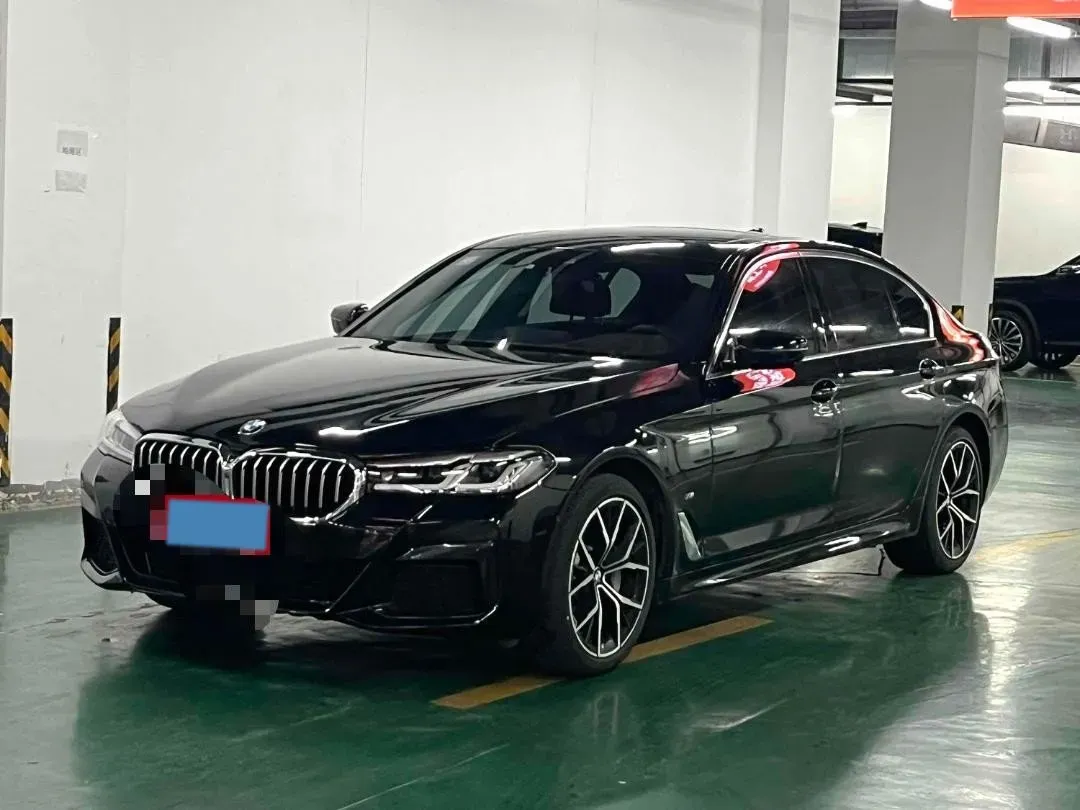 2021 BMW 5 Series 2.0T 252HP L4 8AT,autocango,china used car exporter,china ev exporter,chinese used car exporter,chinese used ev exporter