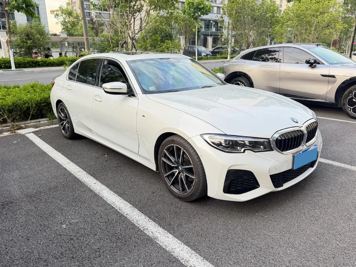 2020 BMW 3 Series 2.0T 156HP L4 8AT,autocango,china used car exporter,china ev exporter,chinese used car exporter,chinese used ev exporter
