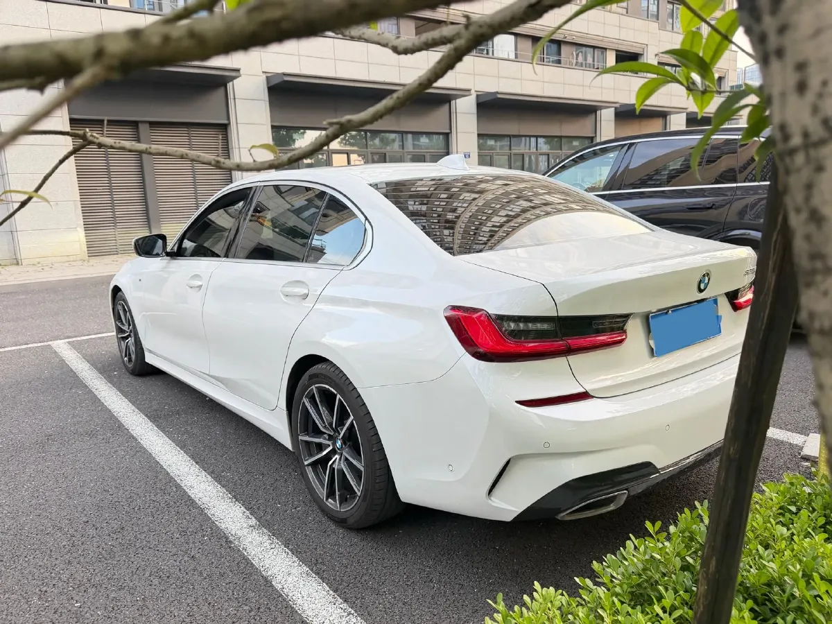 2020 BMW 3 Series 2.0T 156HP L4 8AT,autocango,china used car exporter,china ev exporter,chinese used car exporter,chinese used ev exporter