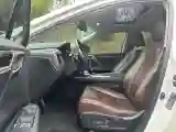 2020 Lexus RX 2.0T 238HP L4 6AT
