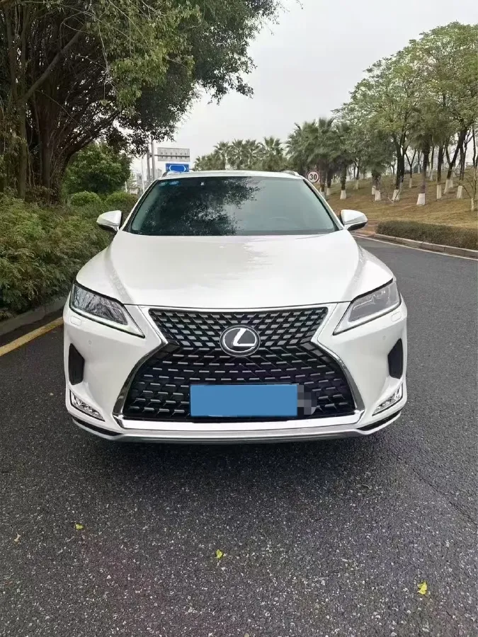 2020 Lexus RX 2.0T 238HP L4 6AT,autocango,china used car exporter,china ev exporter,chinese used car exporter,chinese used ev exporter