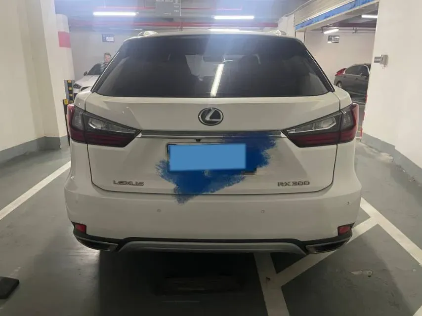 2016 Lexus RX 2.0T 238HP L4 6AT,autocango,china used car exporter,china ev exporter,chinese used car exporter,chinese used ev exporter