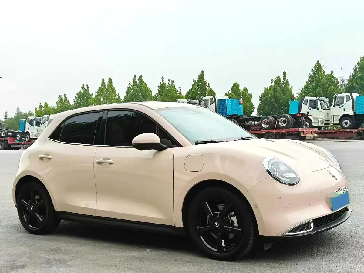 2024 Ora FunkyCat BEV 57.7KWH,autocango,china used car exporter,china ev exporter,chinese used car exporter,chinese used ev exporter