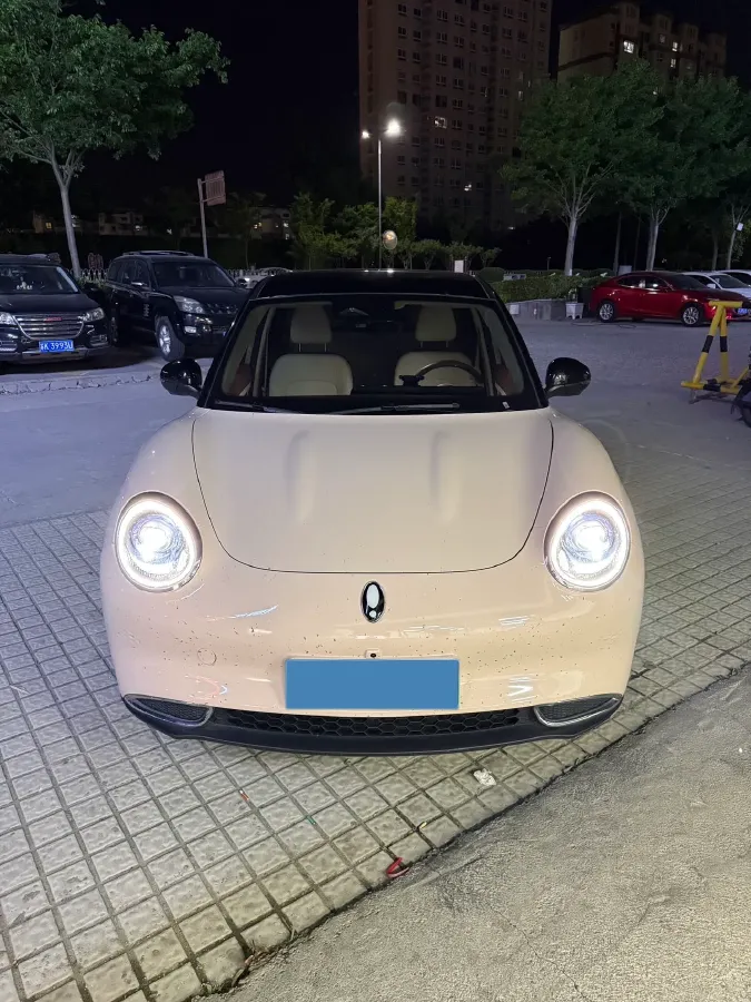 2023 Ora FunkyCat BEV 47.8KWH,autocango,china used car exporter,china ev exporter,chinese used car exporter,chinese used ev exporter