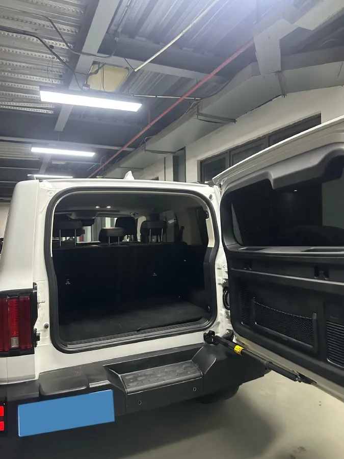 2023 Tank 300 2.0T 227HP L4 8AT,autocango,china used car exporter,china ev exporter,chinese used car exporter,chinese used ev exporter