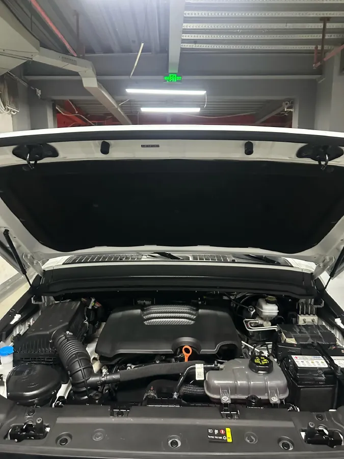 2023 Tank 300 2.0T 227HP L4 8AT,autocango,china used car exporter,china ev exporter,chinese used car exporter,chinese used ev exporter