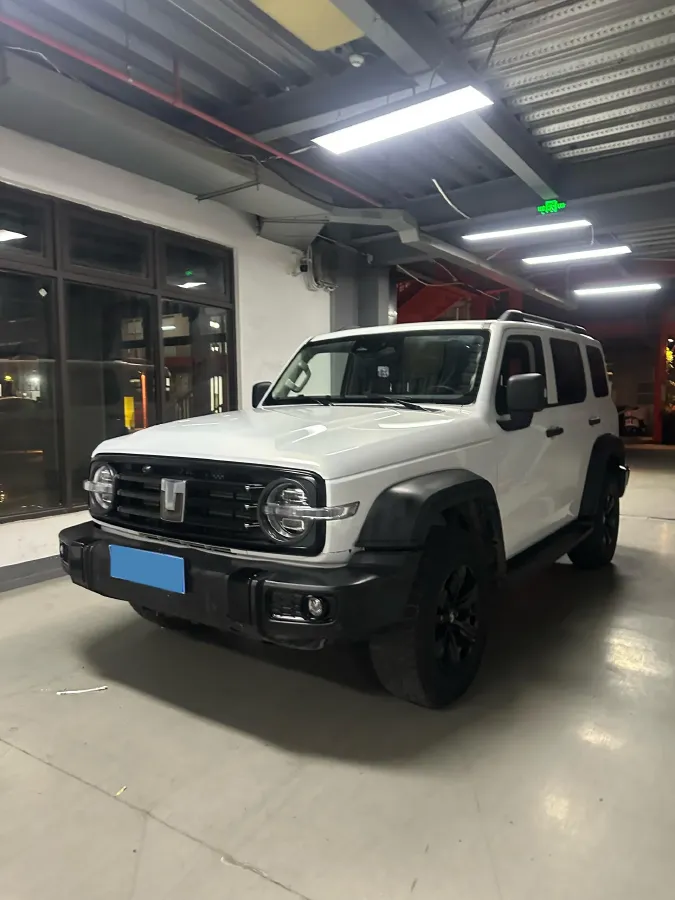 2023 Tank 300 2.0T 227HP L4 8AT,autocango,china used car exporter,china ev exporter,chinese used car exporter,chinese used ev exporter