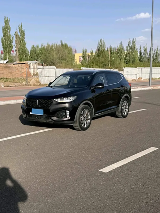 2018 WEY VV6 2.0T 197HP L4 7DCT,autocango,china used car exporter,china ev exporter,chinese used car exporter,chinese used ev exporter