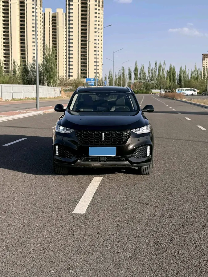 2018 WEY VV6 2.0T 197HP L4 7DCT,autocango,china used car exporter,china ev exporter,chinese used car exporter,chinese used ev exporter