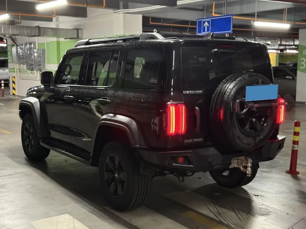 2024 Tank 300 2.0T 227HP L4 8AT,autocango,china used car exporter,china ev exporter,chinese used car exporter,chinese used ev exporter