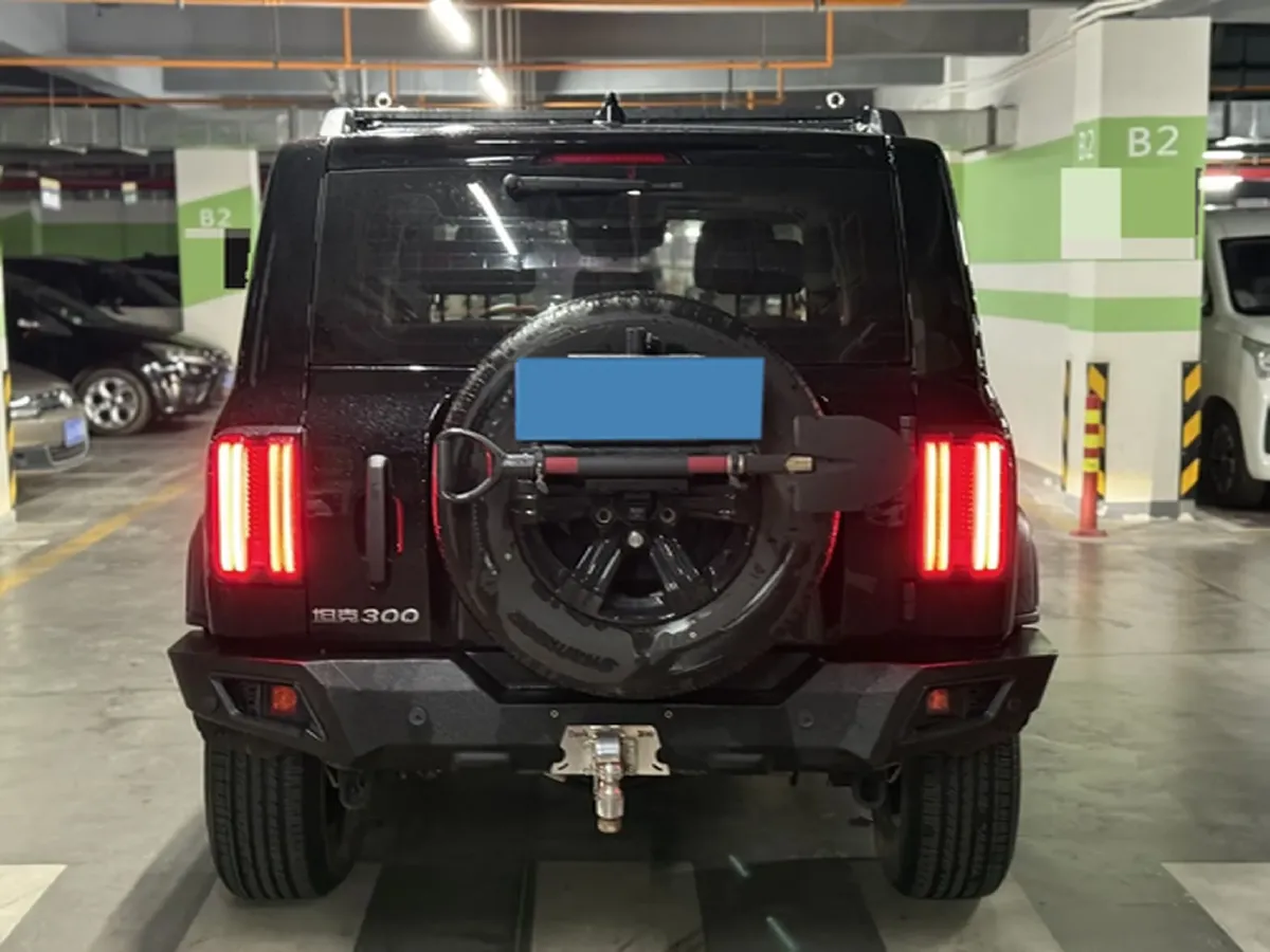 2024 Tank 300 2.0T 227HP L4 8AT,autocango,china used car exporter,china ev exporter,chinese used car exporter,chinese used ev exporter