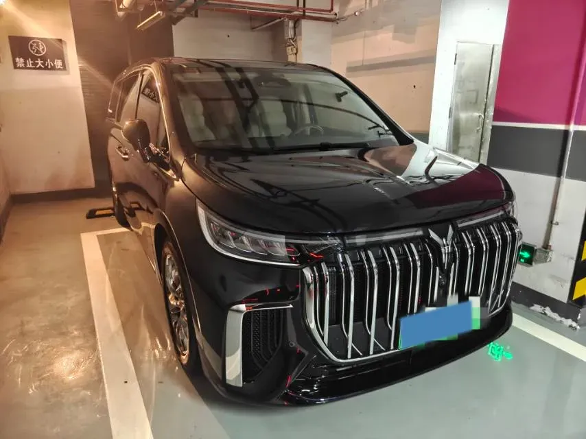 2022 Voyah Dream 1.5T 136HP L4 PHEV 25.57KWH,autocango,china used car exporter,china ev exporter,chinese used car exporter,chinese used ev exporter