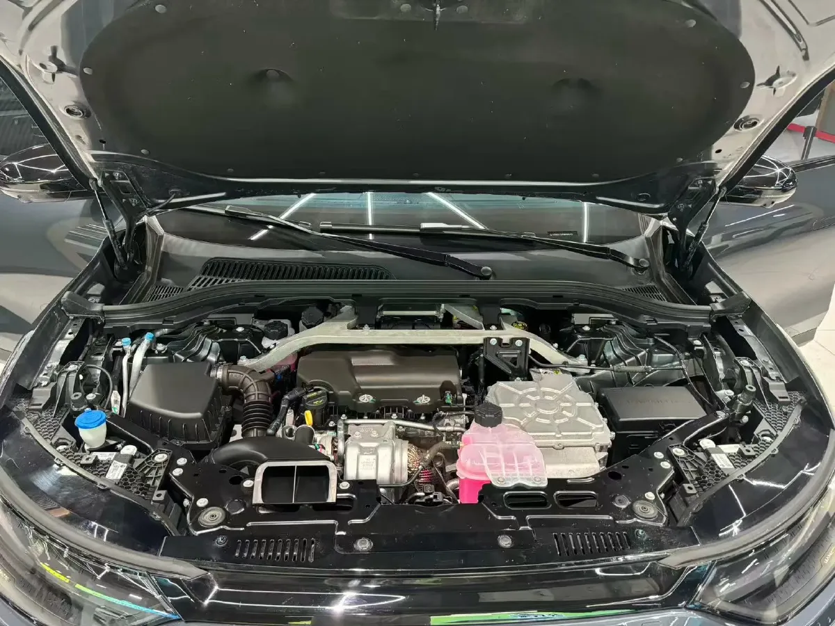 2023 Leapmotor C11 Range Extended 131HP REEV 30.1KWH,autocango,china used car exporter,china ev exporter,chinese used car exporter,chinese used ev exporter