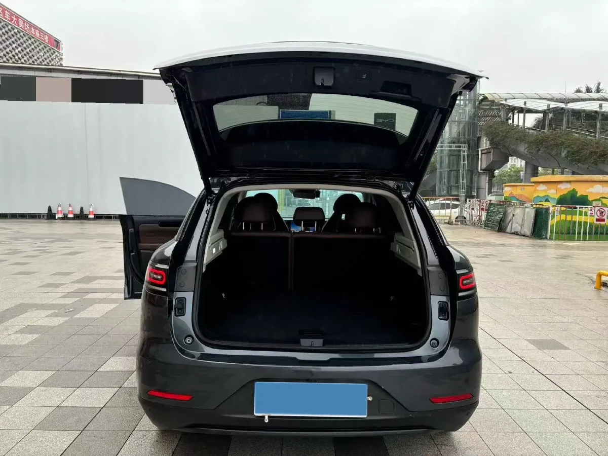 2023 Leapmotor C11 Range Extended 131HP REEV 30.1KWH,autocango,china used car exporter,china ev exporter,chinese used car exporter,chinese used ev exporter