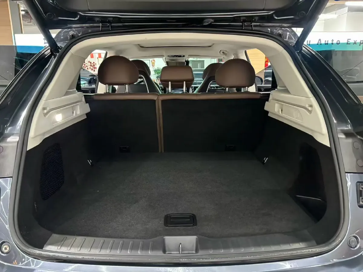 2023 Leapmotor C11 Range Extended 131HP REEV 30.1KWH,autocango,china used car exporter,china ev exporter,chinese used car exporter,chinese used ev exporter