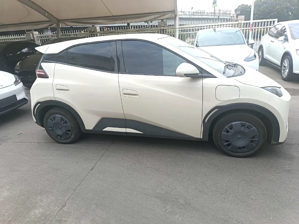 2025 BYD Seagull BEV 30.08KWH,autocango,china used car exporter,china ev exporter,chinese used car exporter,chinese used ev exporter