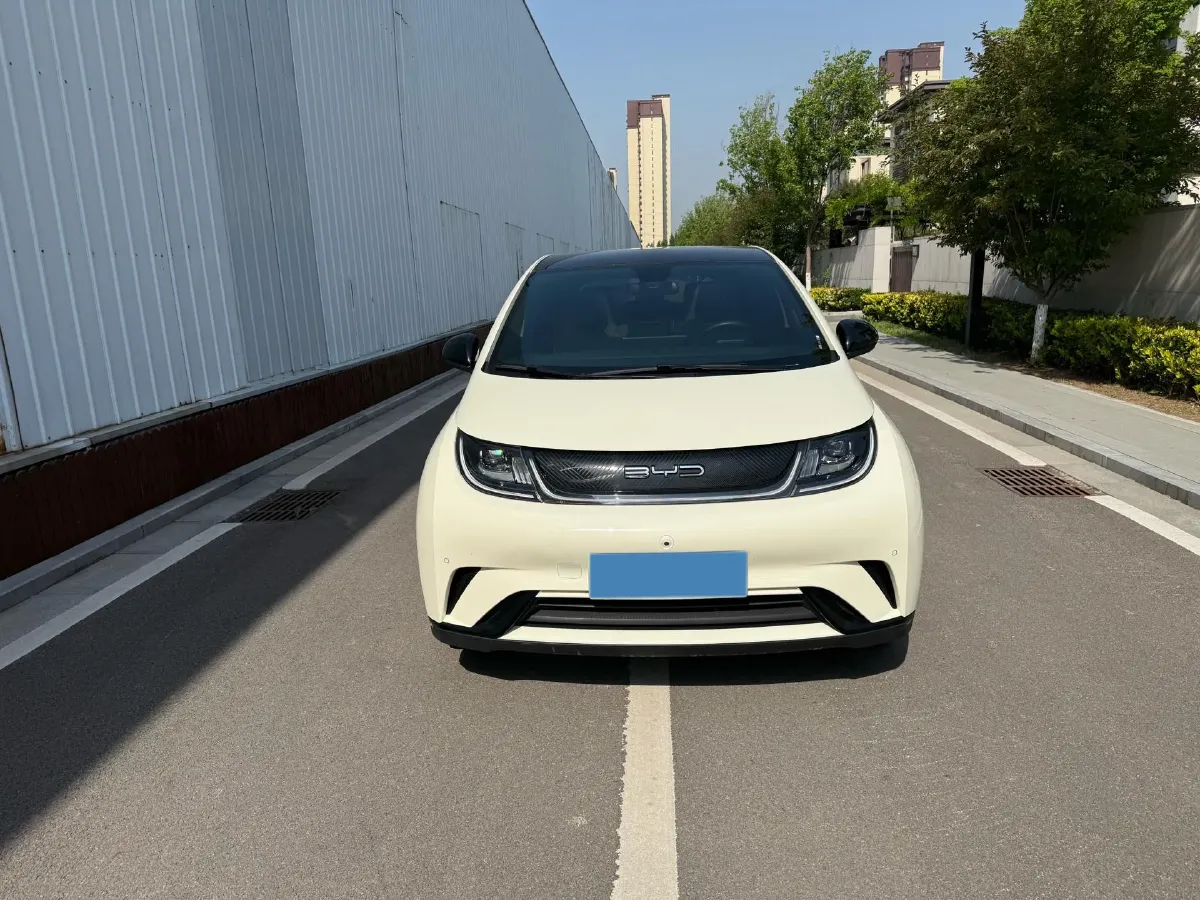 2023 BYD Dolphin BEV 44.928KWH,autocango,china used car exporter,china ev exporter,chinese used car exporter,chinese used ev exporter