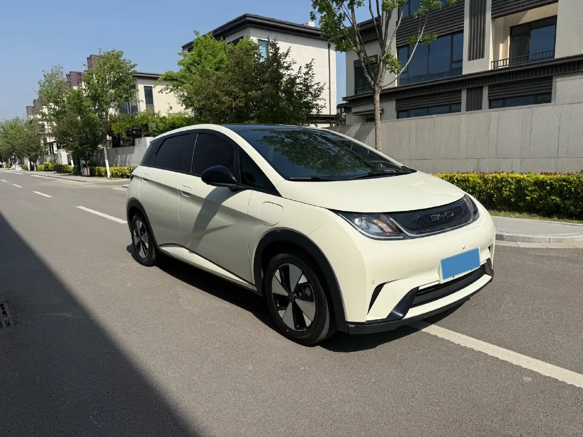 2023 BYD Dolphin BEV 44.928KWH,autocango,china used car exporter,china ev exporter,chinese used car exporter,chinese used ev exporter