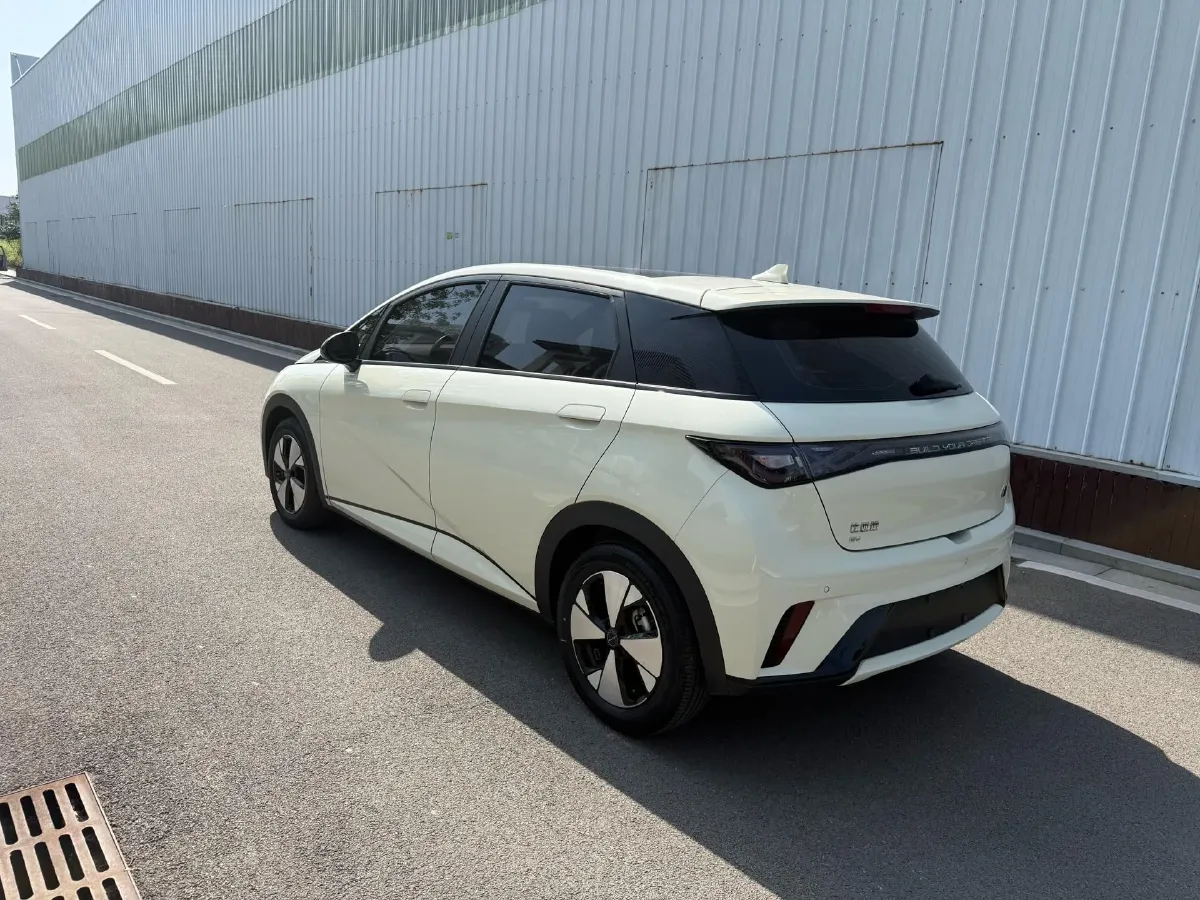 2023 BYD Dolphin BEV 44.928KWH,autocango,china used car exporter,china ev exporter,chinese used car exporter,chinese used ev exporter