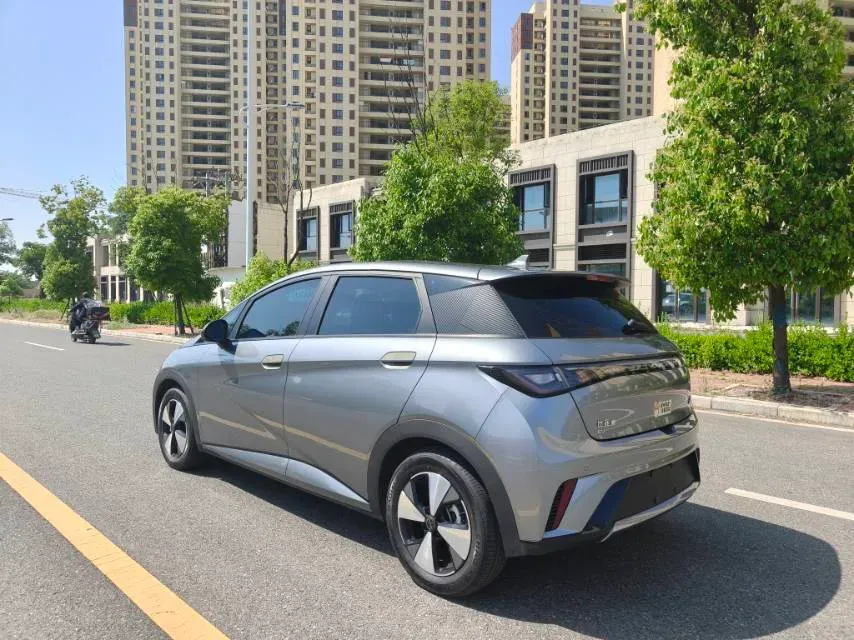 2023 BYD Dolphin BEV 44.928KWH,autocango,china used car exporter,china ev exporter,chinese used car exporter,chinese used ev exporter