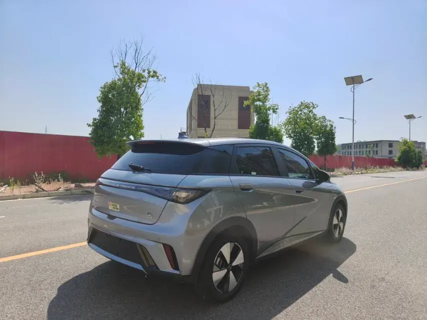 2023 BYD Dolphin BEV 44.928KWH,autocango,china used car exporter,china ev exporter,chinese used car exporter,chinese used ev exporter