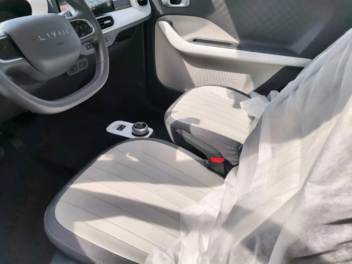2025 Geely Lanqiqiu BEV,autocango,china used car exporter,china ev exporter,chinese used car exporter,chinese used ev exporter