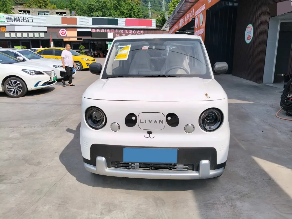 2025 Geely Lanqiqiu BEV,autocango,china used car exporter,china ev exporter,chinese used car exporter,chinese used ev exporter