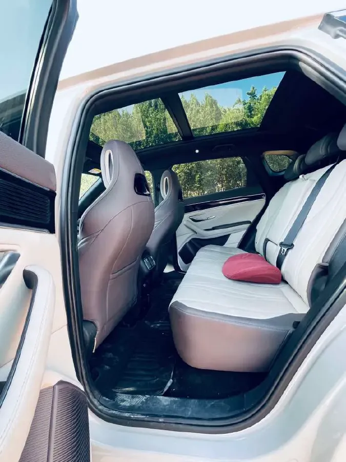 2025 BYD Song Plus 1.5L 101HP L4 E-CVT PHEV 18.3KWH,autocango,china used car exporter,china ev exporter,chinese used car exporter,chinese used ev exporter