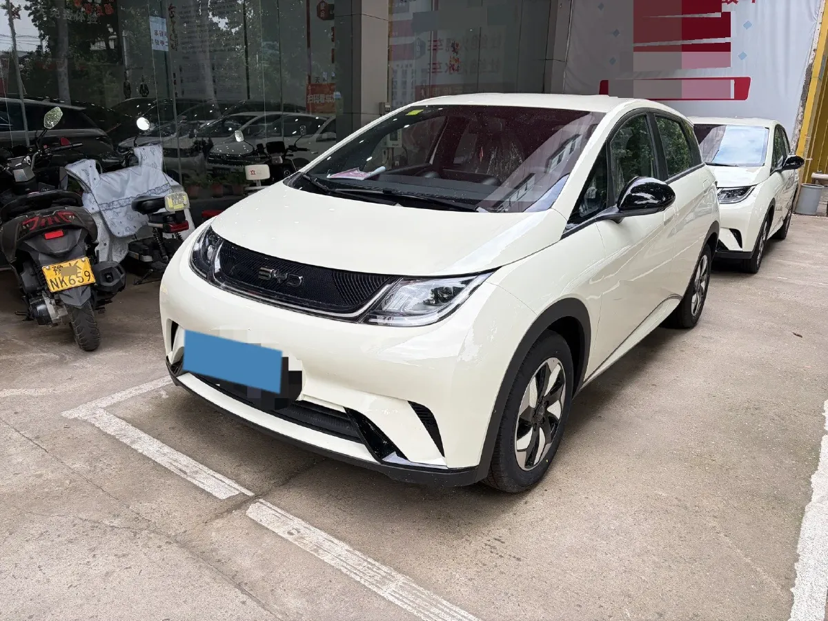 2025 BYD Dolphin BEV 44.928KWH,autocango,china used car exporter,china ev exporter,chinese used car exporter,chinese used ev exporter