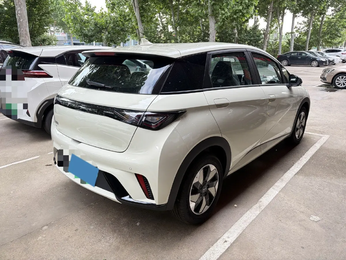2025 BYD Dolphin BEV 44.928KWH,autocango,china used car exporter,china ev exporter,chinese used car exporter,chinese used ev exporter