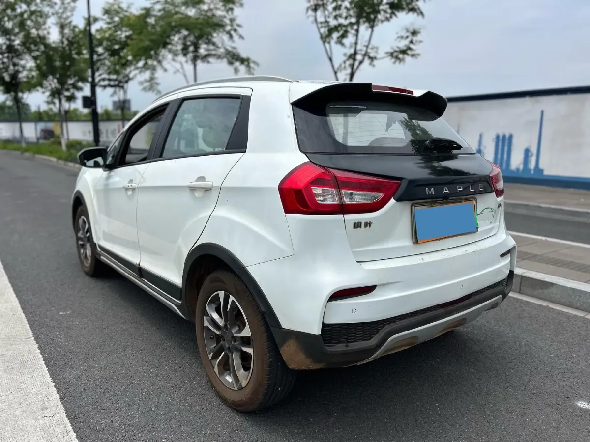 2020 Livan Maple 30X BEV 37KWH,autocango,china used car exporter,china ev exporter,chinese used car exporter,chinese used ev exporter