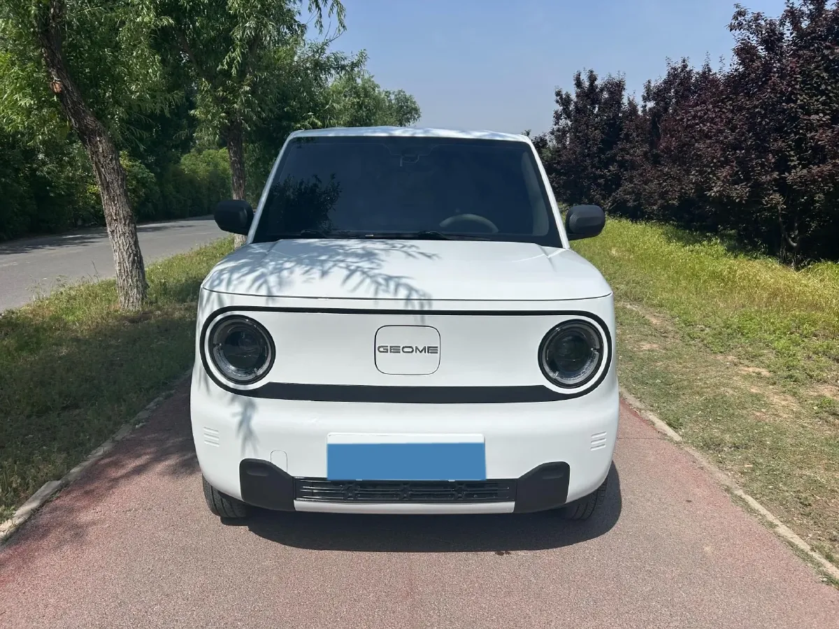 2024 Geely Galaxy Panda BEV 17.03KWH,autocango,china used car exporter,china ev exporter,chinese used car exporter,chinese used ev exporter
