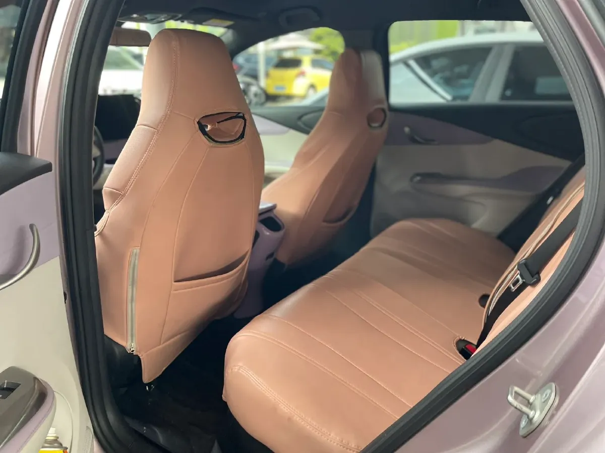 2023 BYD Dolphin BEV 44.928KWH,autocango,china used car exporter,china ev exporter,chinese used car exporter,chinese used ev exporter