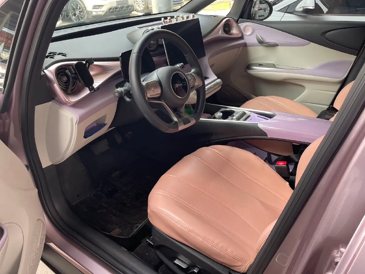 2023 BYD Dolphin BEV 44.928KWH,autocango,china used car exporter,china ev exporter,chinese used car exporter,chinese used ev exporter