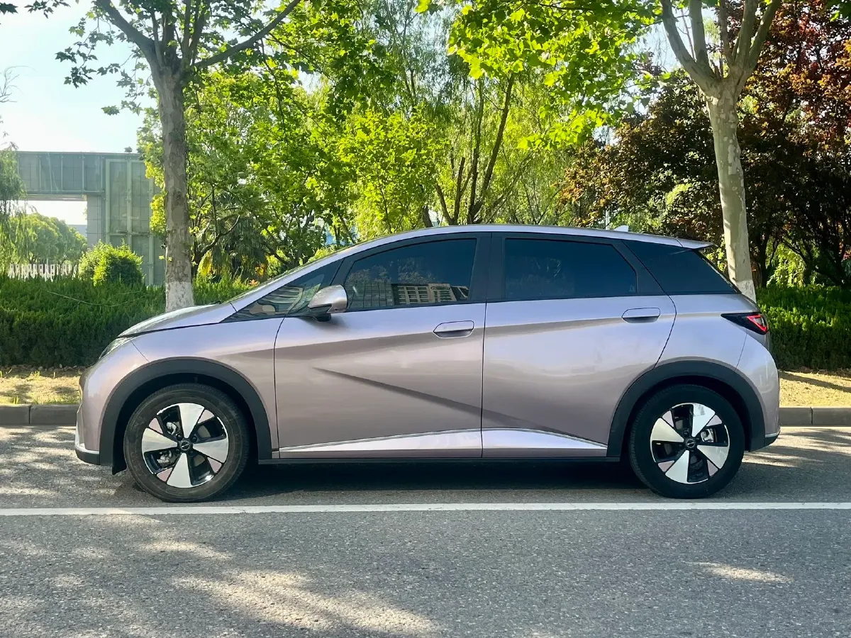 2023 BYD Dolphin BEV 44.928KWH,autocango,china used car exporter,china ev exporter,chinese used car exporter,chinese used ev exporter