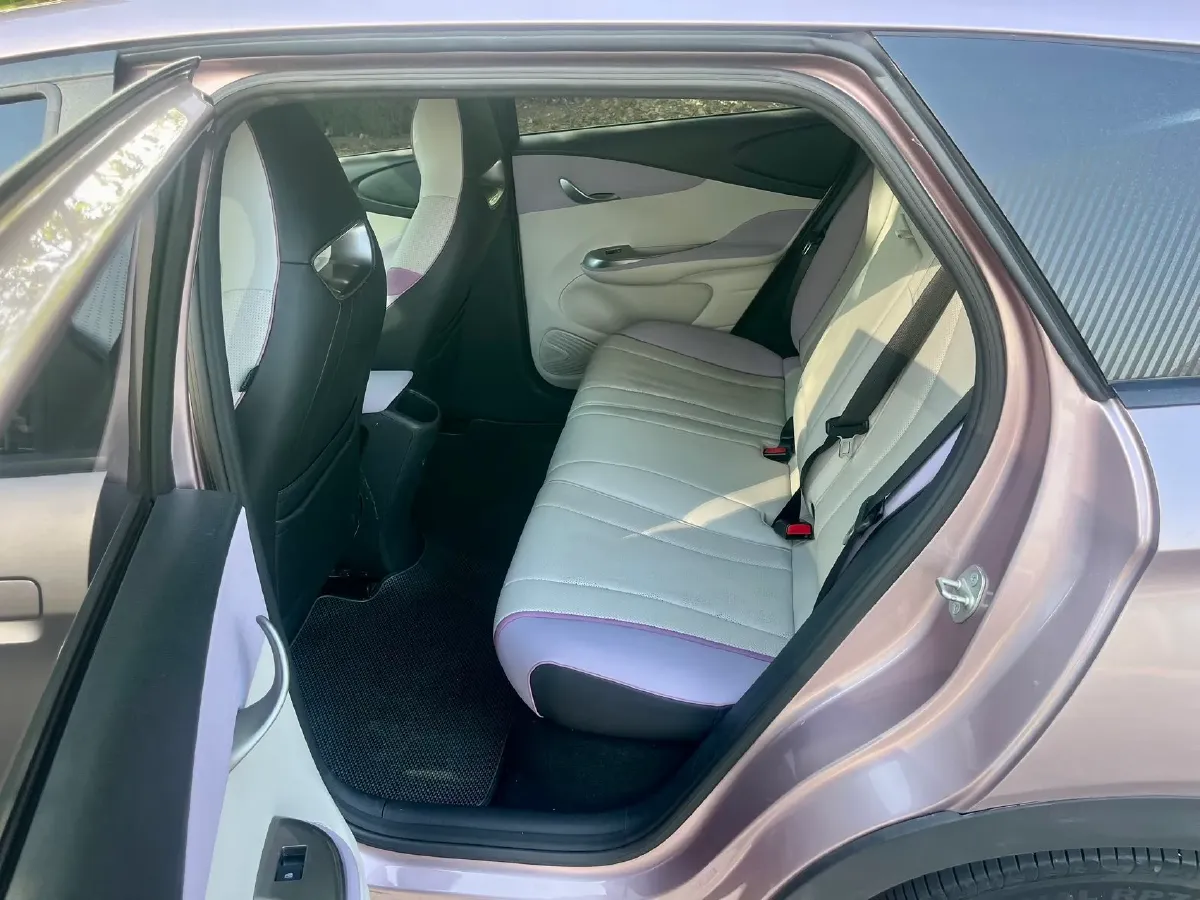 2023 BYD Dolphin BEV 44.928KWH,autocango,china used car exporter,china ev exporter,chinese used car exporter,chinese used ev exporter